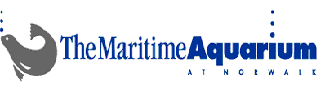 The-Marine-Aquarium
