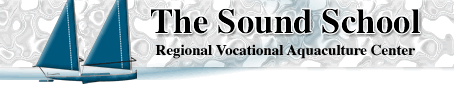 The-Sound-School