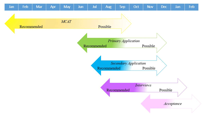 Timeline