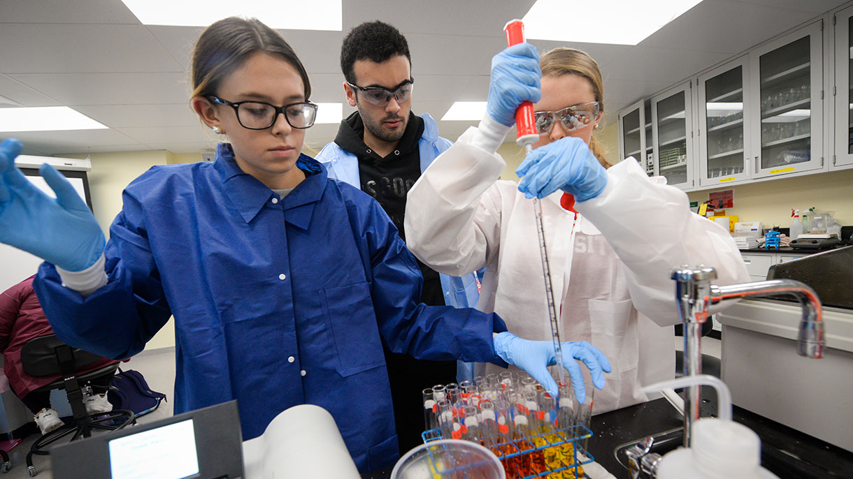 students working in a bio lab