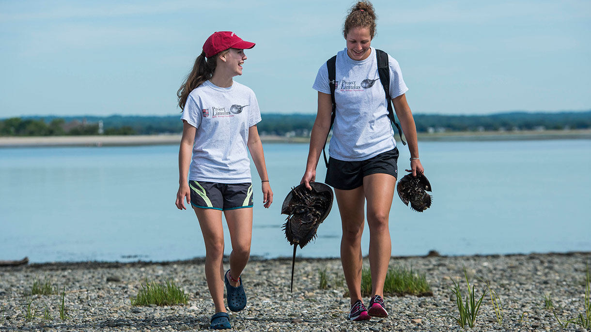 two students walking along the shoreline 