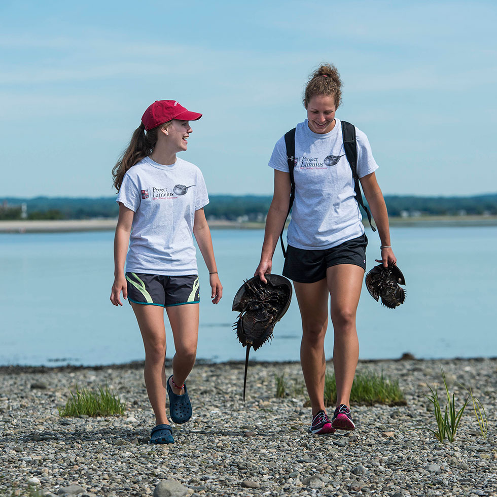 two students walking along the shoreline 