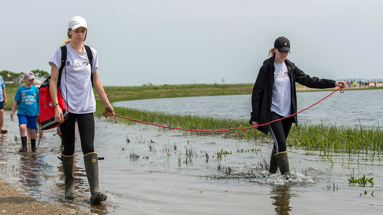 students walking along the shore line 
