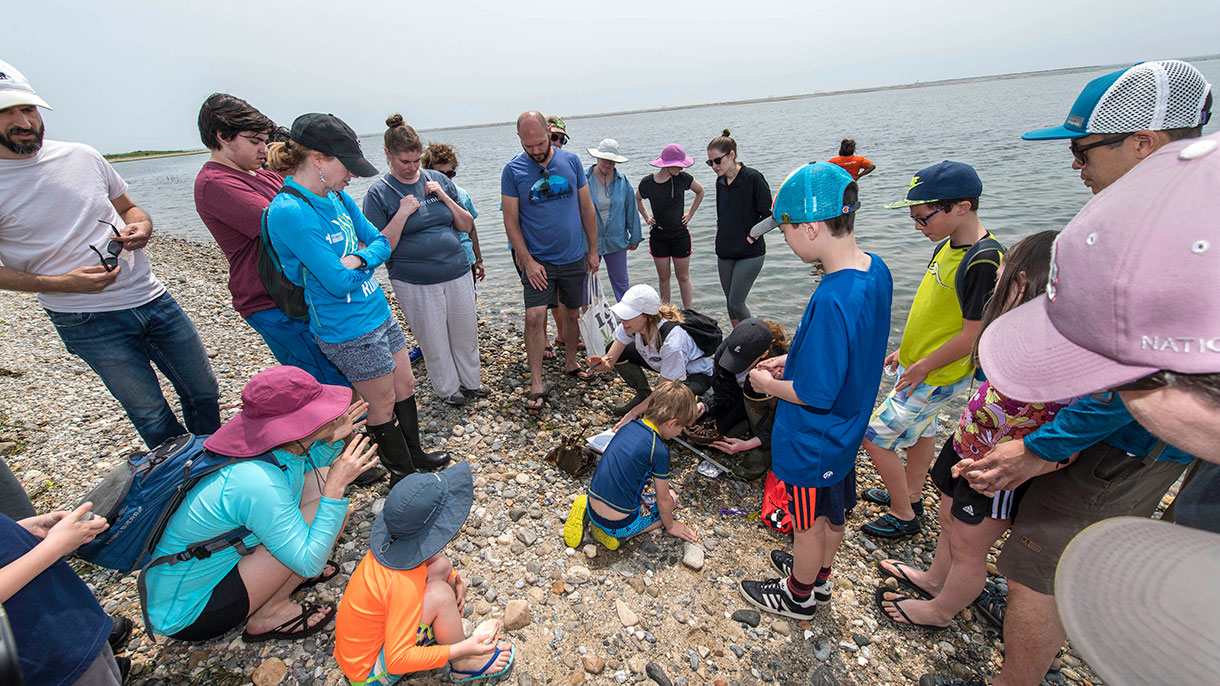 group of people gathering research along the shoreline