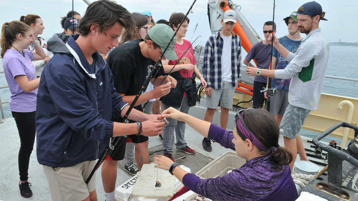 students studying thresher sharks 
