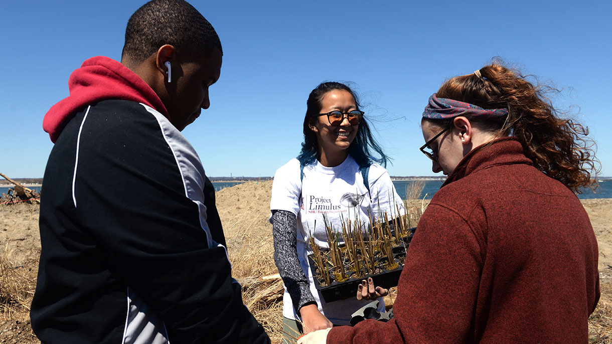 group of students gathering research 