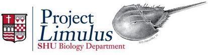 Project Limulus