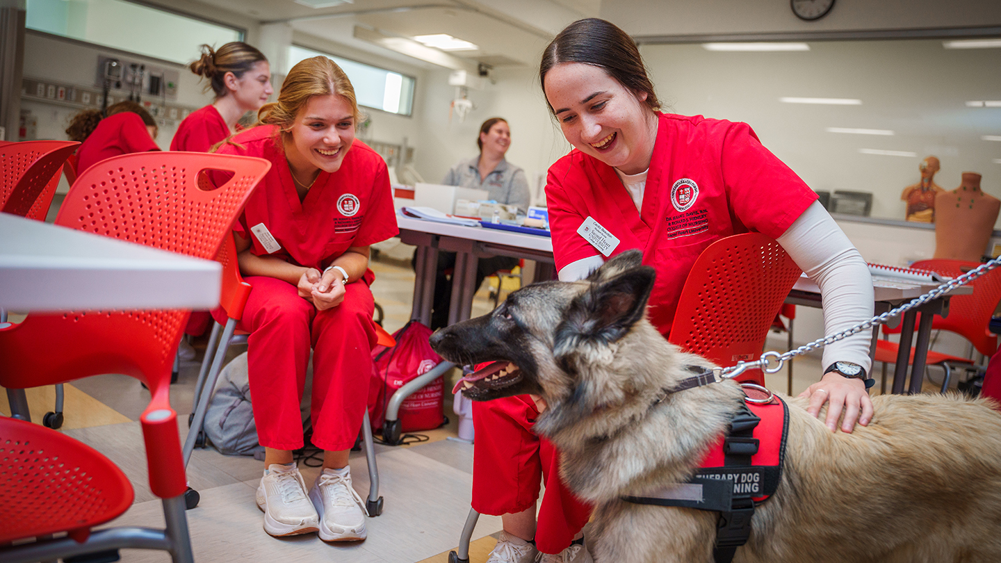 Nursing students petting a therapy German Shepherd dog