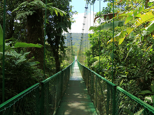 walking bridge in costa rica