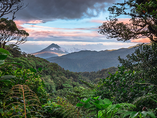 Monteverde area, Costa Rica.