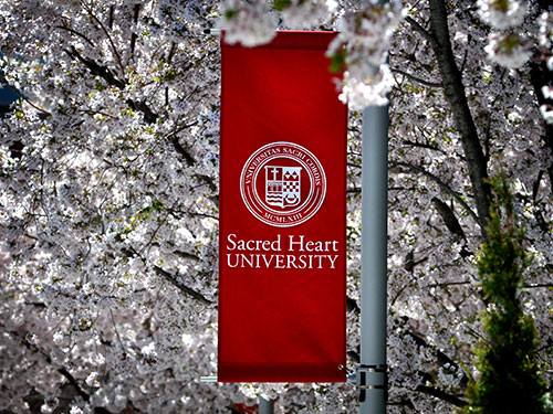 Sacred Heart University Campus