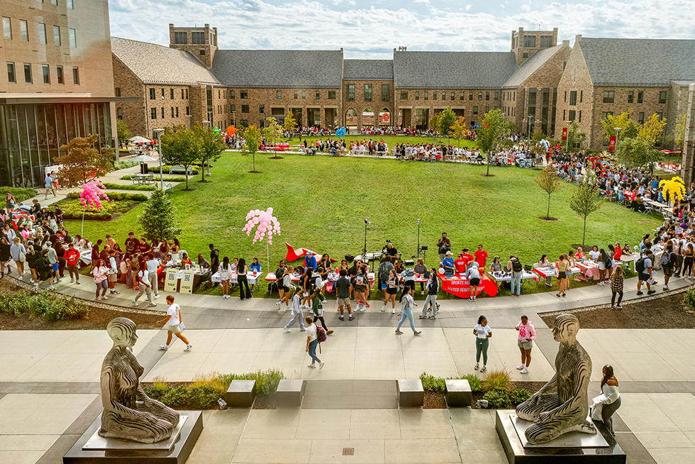 people attending an outdoor fair on a grassy quad