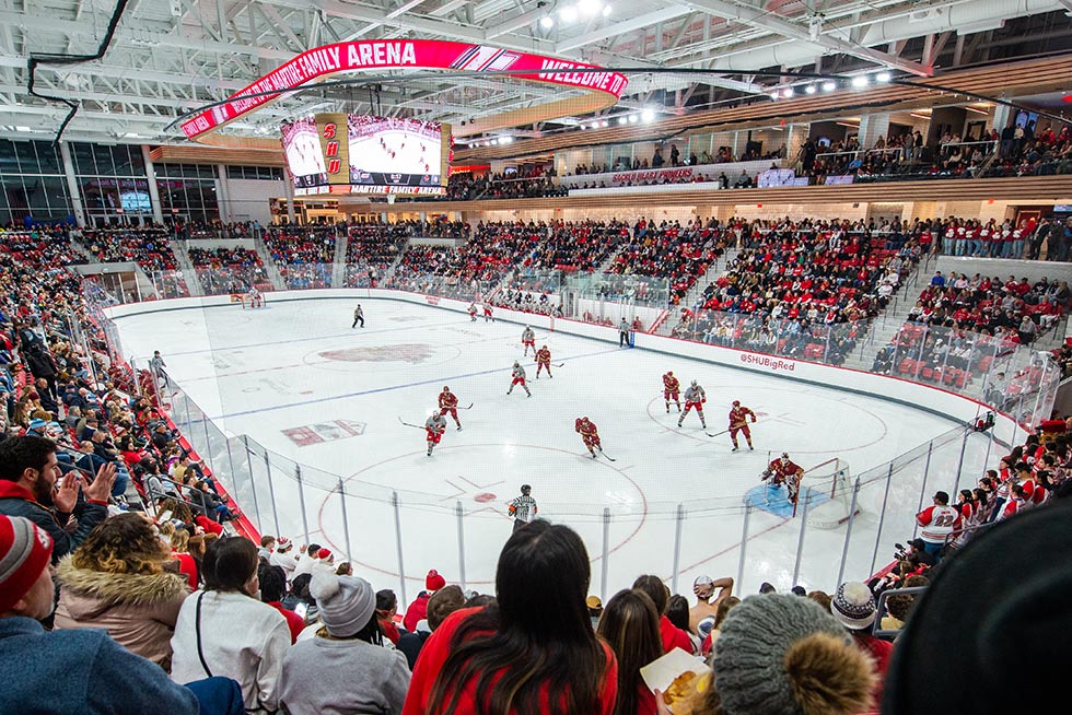 ice hockey game in a crowded arena