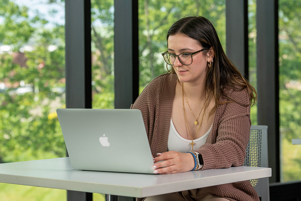 a person looking at a laptop