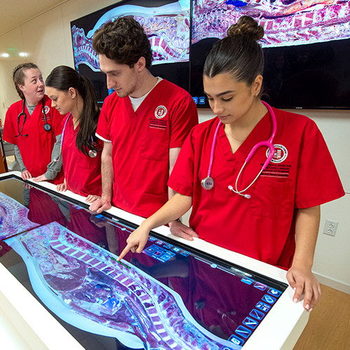 nursing students looking at an Anatomage table