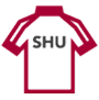 Icon of an athletics jersey