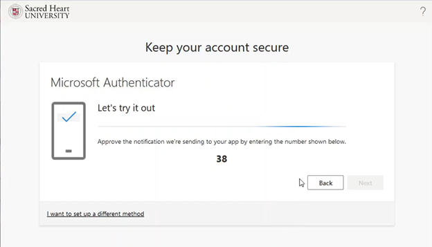 Screenshot depicting code that MFA will provide you for access