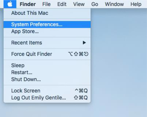 system preferences on mac