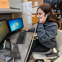 person on a phone at a computer