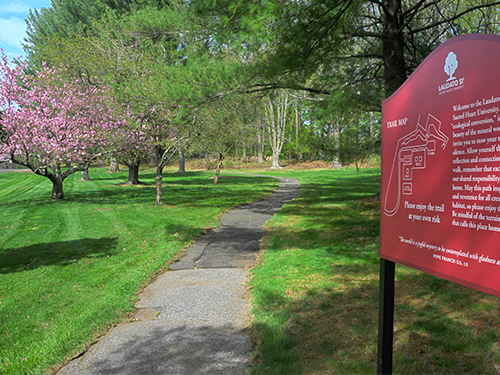 a walking path in spring