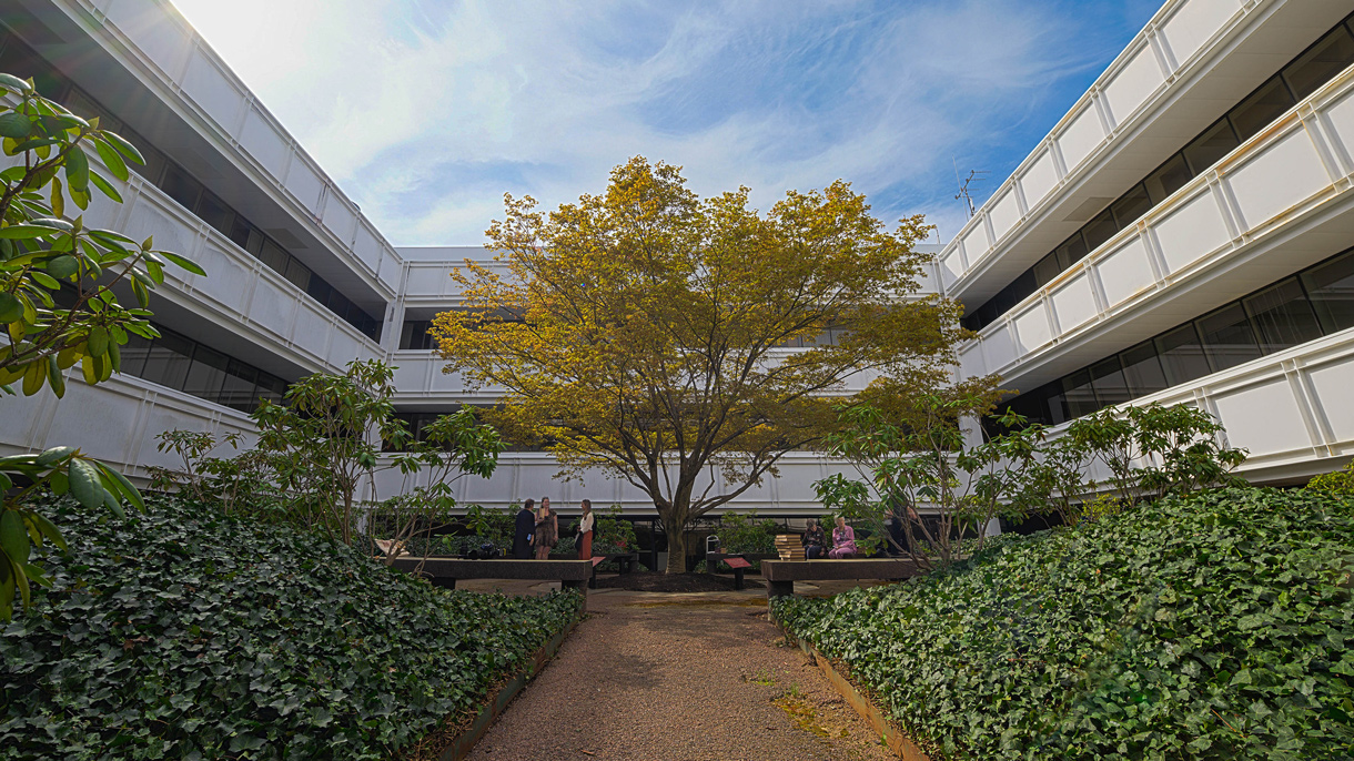 Courtyard Contemplative Garden