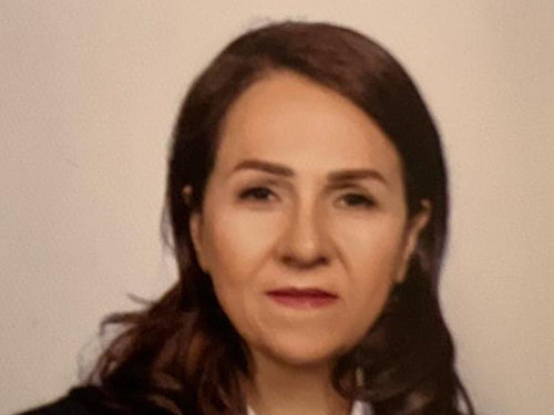 Simin Bazagan