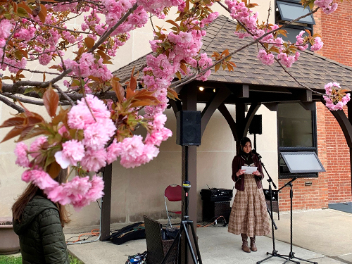 A person reciting poetry at a microphone surrounded by pink tree blossoms