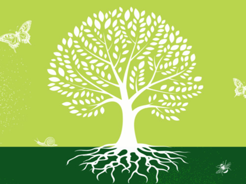 graphic illustration of a tree