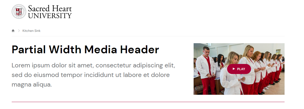 Screenshot of Partial Width Media Header with Text & Video