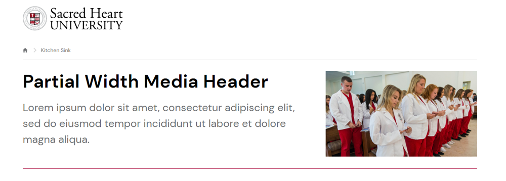 Screenshot of Partial Width Media Header with Text & Image