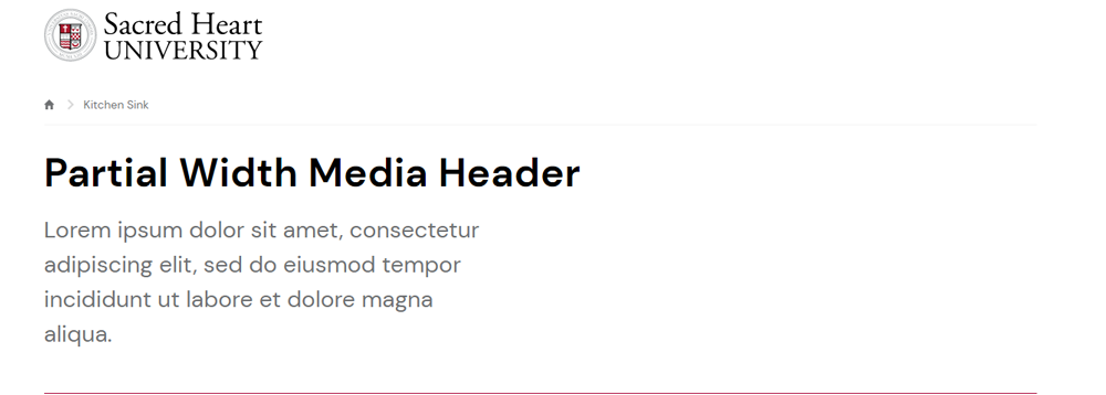 Screenshot of Partial Width Media Header with Text Only