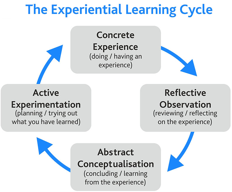 Conceret experience, reflective observation, abstract conceptualization and active experiementation