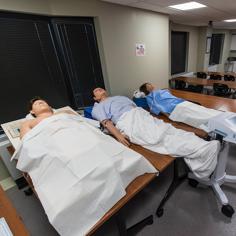 Physician Assistant Studies at Sacred Heart