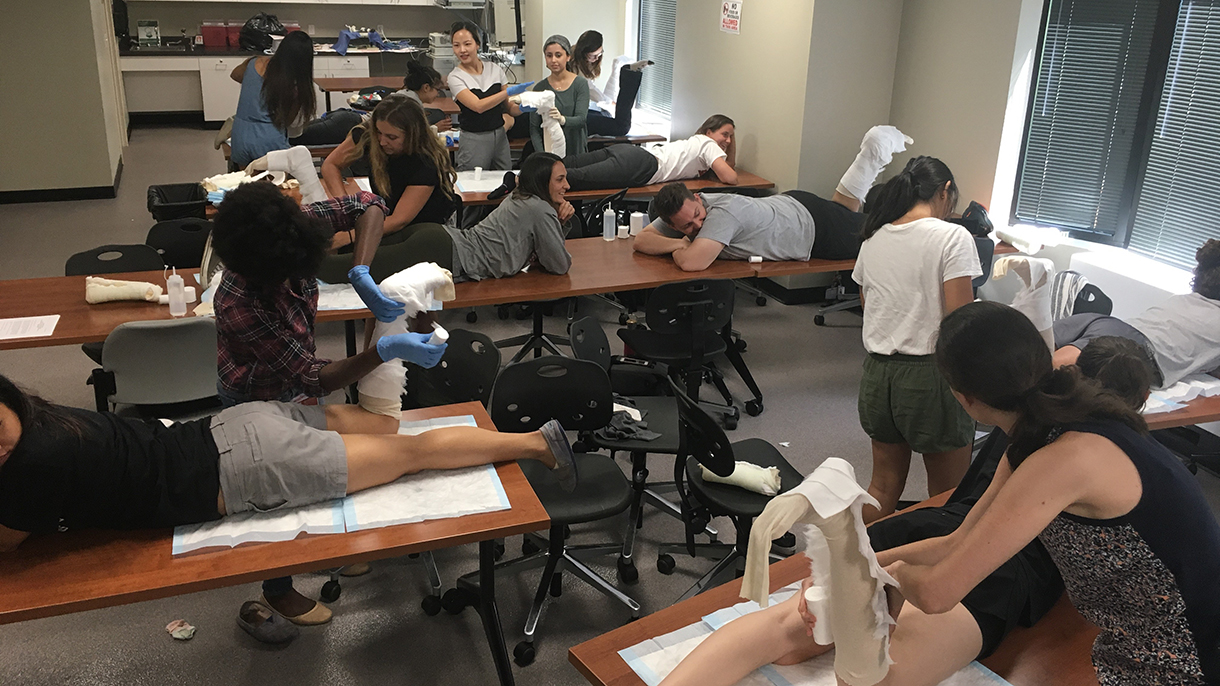 Physician Assistant Studies at Sacred Heart