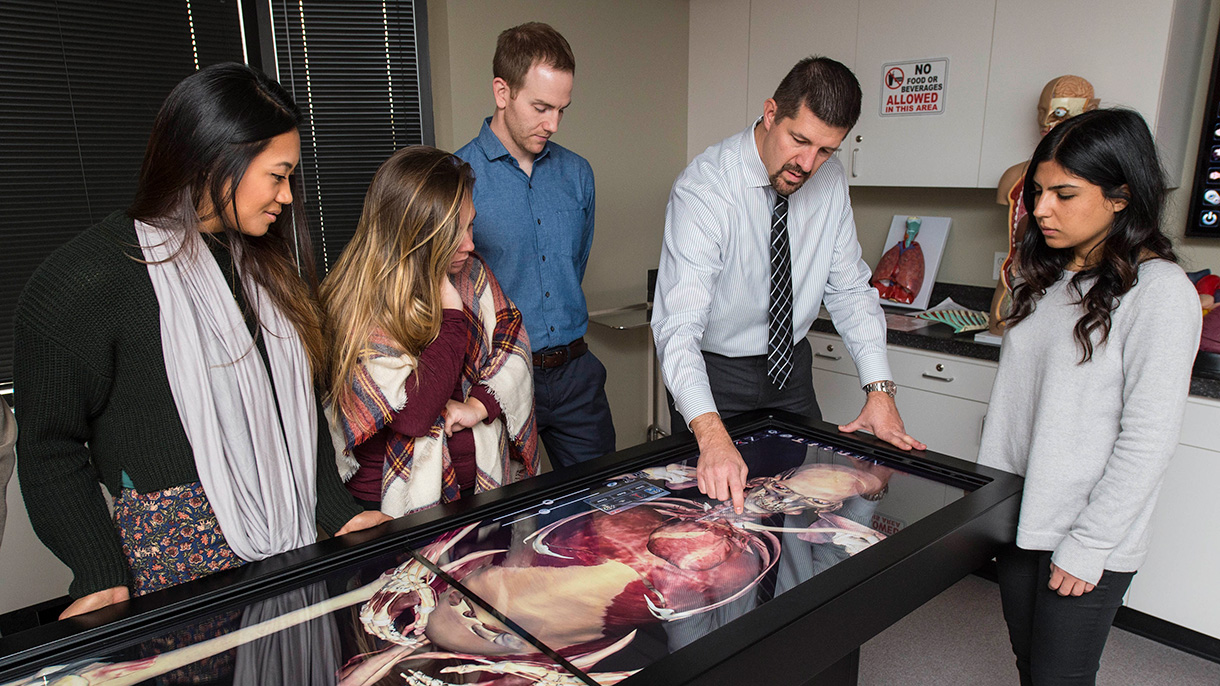 Physician assistant students and faculty viewing 3D anatomy through a simulation table