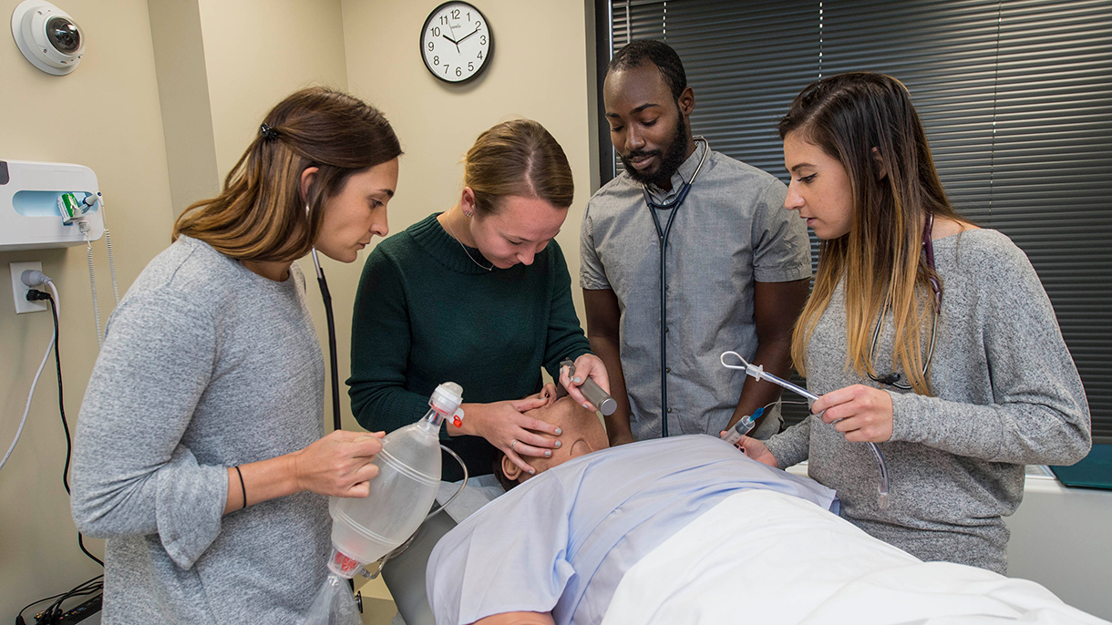 Physician Assistant Studies at Sacred Heart