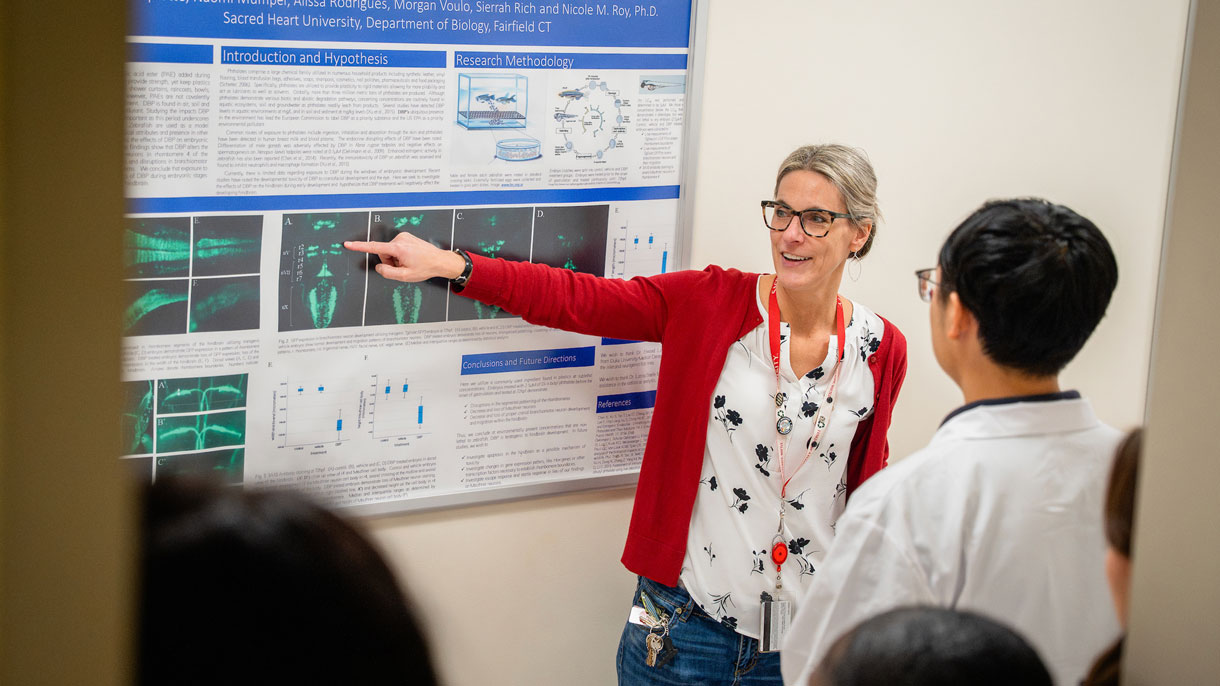 Professor explaining a project