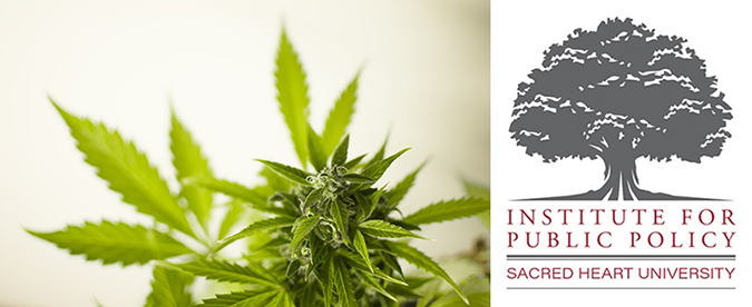 Marijuana plant