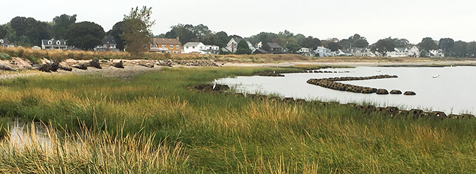 Stratford Point lanscape