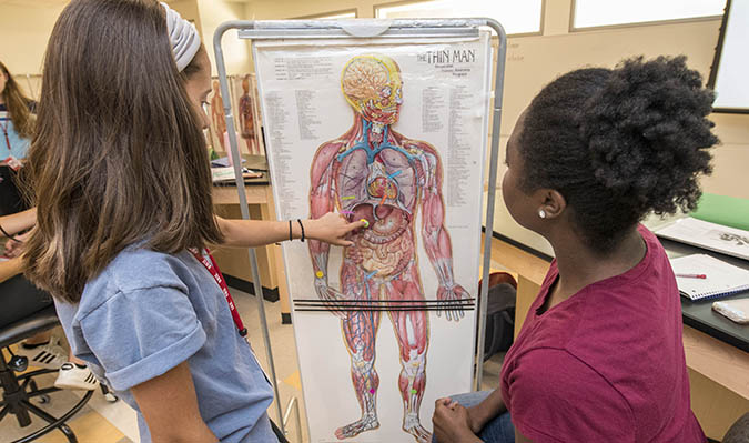 Two students looking at a diagram