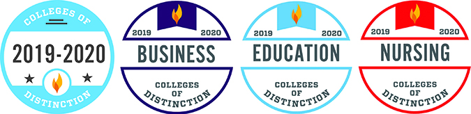 Award icons for college of distinction