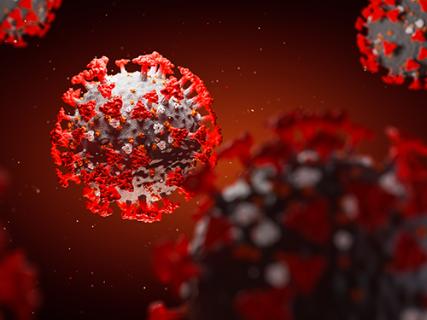 coronavirus