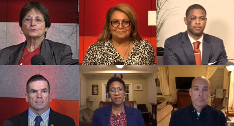 panel speakers on virtual call