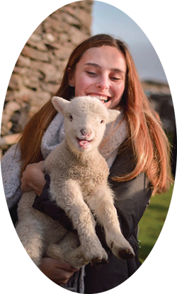 Student holding lamb