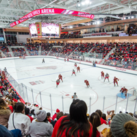 Martire Family Arena during a hockey game
