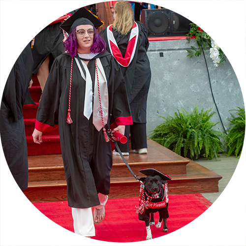 Layla the dog with her person at commencement