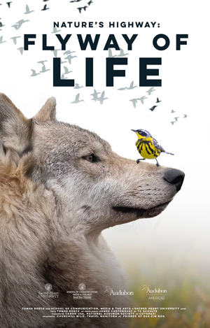 Flyway of Life movie poster | wolf with bird on it's nose