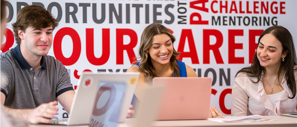 Students working together on laptops