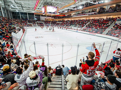 ice hockey arena with crowd cheering on the players