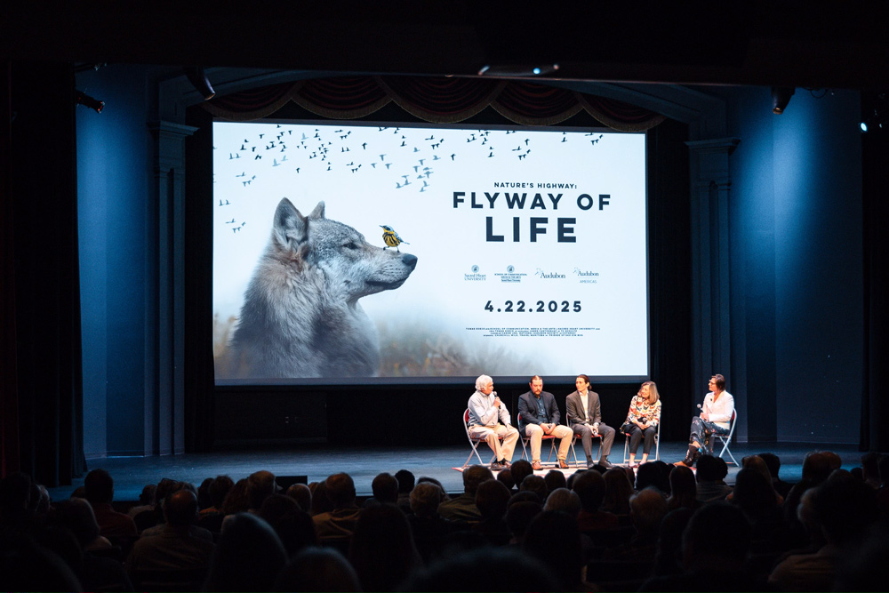 Panelist on stage at movie premiere